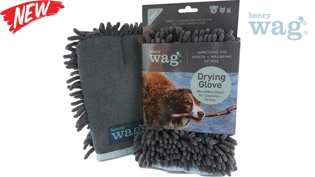 Bisley Microfibre Drying Glove by Henry Wag