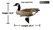 FUD F.U.D Canadian Geese Decoy  6pk