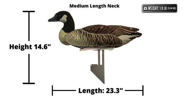 FUD F.U.D Canadian Geese Decoy  6pk